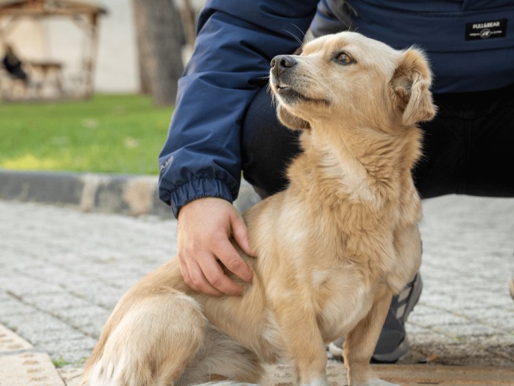 Avalanche Team1 Türkiye Ekibi Üniversitemizde